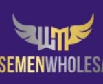 wisemen wholesale logo - testimonial to link builders